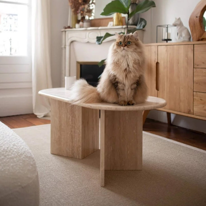 travertine coffee table