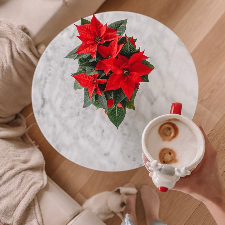 white marble coffee table